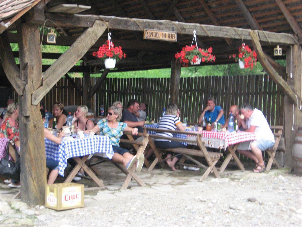 Pension Cartref Saschiz Ngoại thất bức ảnh
